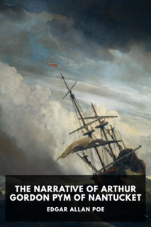 Cover of The Narrative of Arthur Gordon Pym of Nantucket
